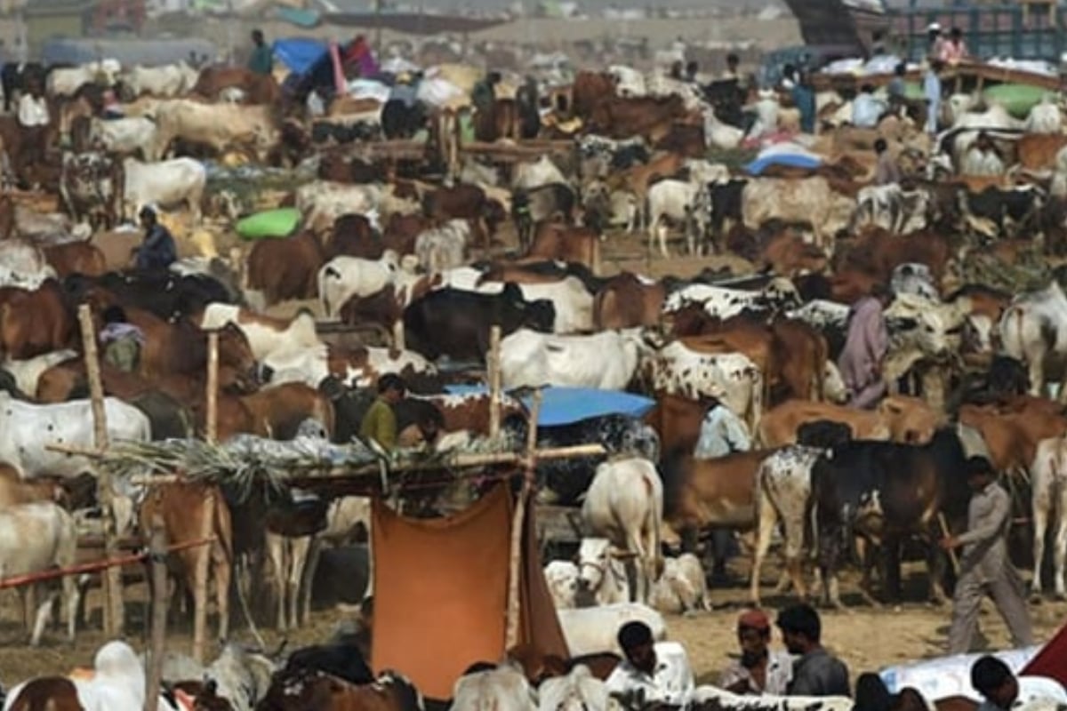 Eid-ul-Adha date announced in Pakistan- Check here