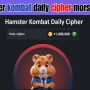 Hamster Kombat Daily Cipher Morse Code Today – September 20, 2024