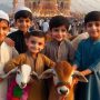 Eid ul Adha 2024 Holidays in Pakistan- Complete Details Here