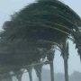 New spell of wind-dust-thunderstorm from today