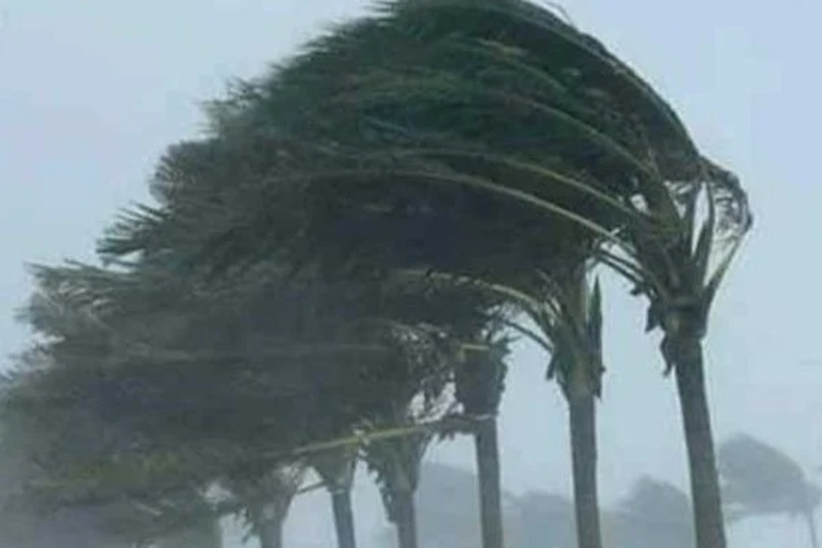 New spell of wind-dust-thunderstorm from today