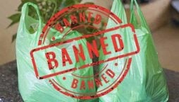 Sindh bans plastic bags from June 15