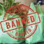 Punjab Govt launches crackdown against sale of plastic bags