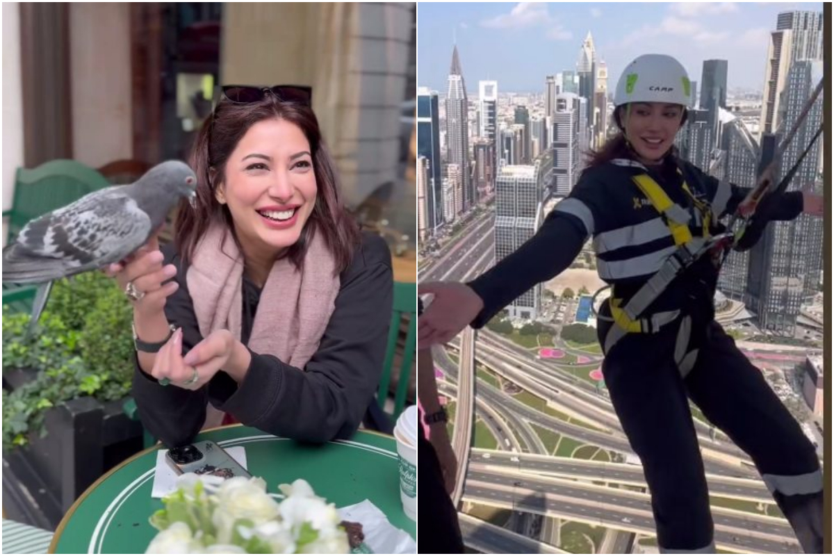Mehwish Hayat