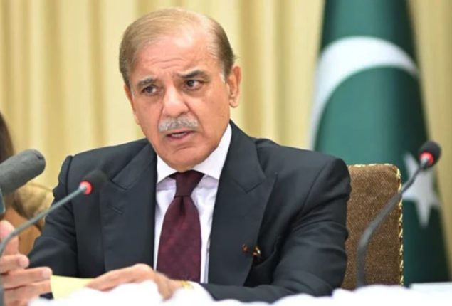 PM Shehbaz meets Int’l Consultancy Firm delegation  