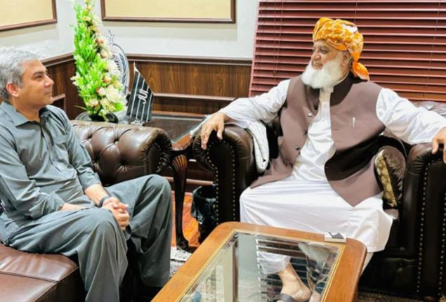 Interior Minister Mohsin Naqvi meets JUI-F Chief