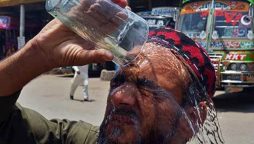 Health professionals advice precautions in wake of hight temperatures