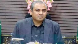 Naqvi