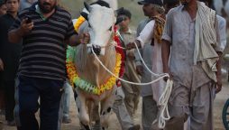 Eidul Adha 2024 holiday