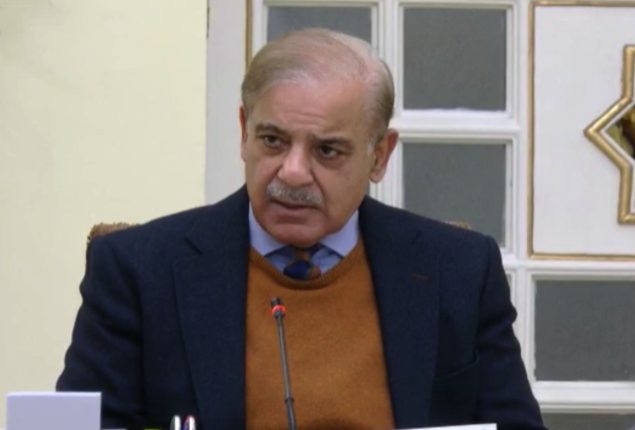 PM calls for special focus on promotion of alternative energy