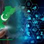 IT exports surges to stunning $332m in May 2024
