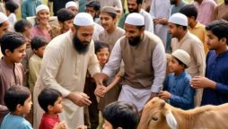 Lahore High Court declares Eid ul Adha holidays