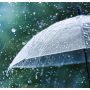 Lahore, Punjab Weather Update: More Rains & Winds Expected!
