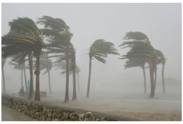 Karachi to Face Windy Weather for the Next 24 Hours!