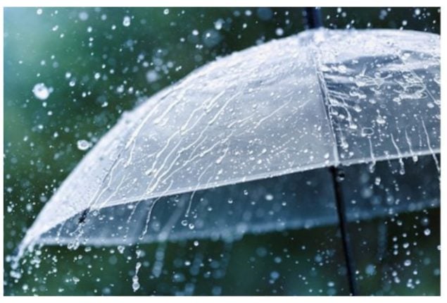 Pakistan Monsoon Forecast: When to Expect Rain?