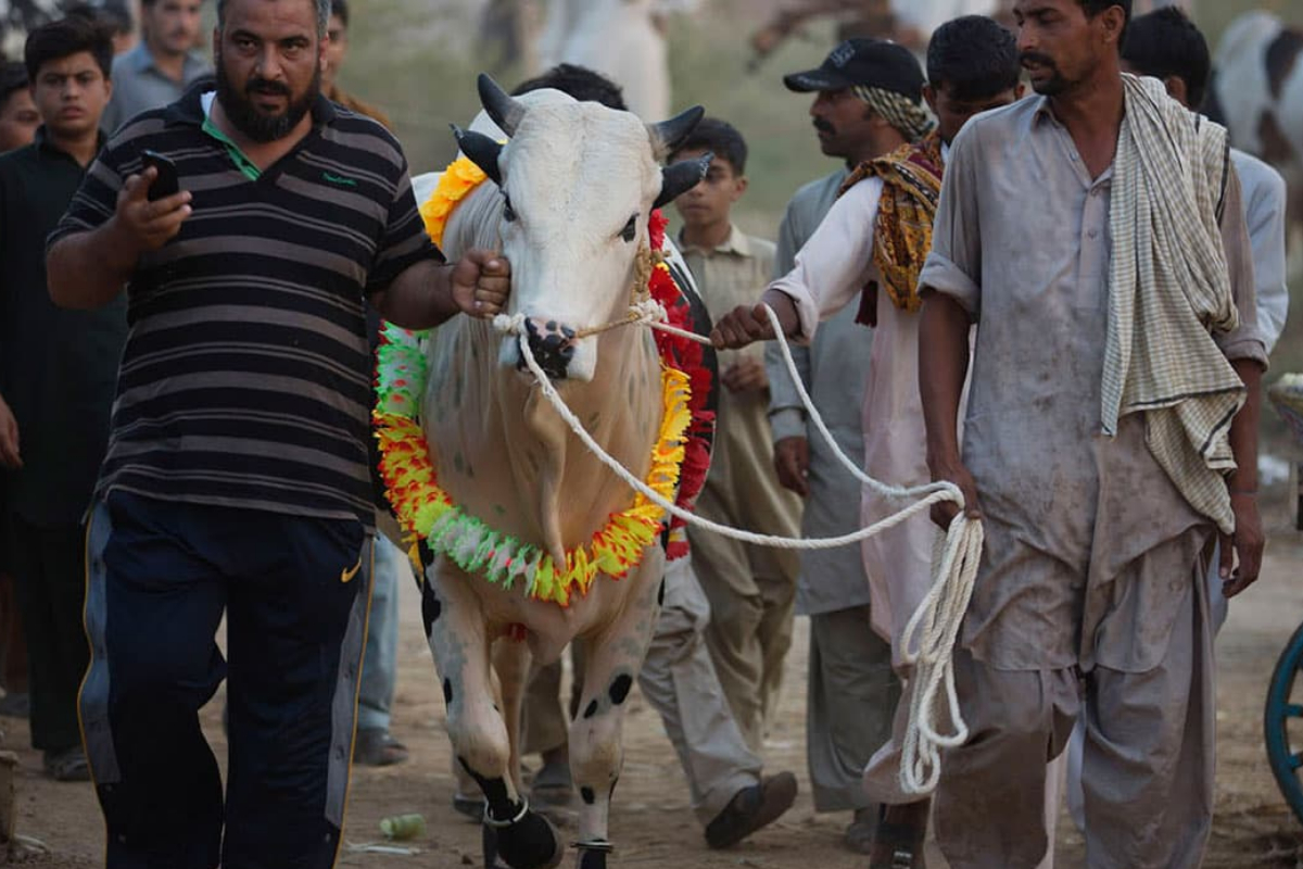 Eidul Adha 2024 holiday