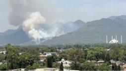 Bid to conceal murder crime leads fire on Margalla Hills