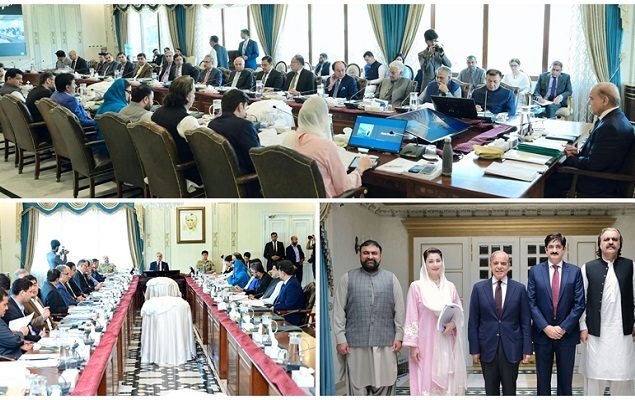 Govt to best utilize resources for economic revival: PM Shehbaz