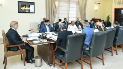 National Economic Council headed by PM Shehbaz formed