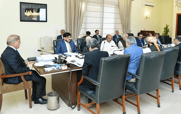 National Economic Council headed by PM Shehbaz formed