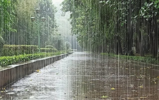 More rains, gusty winds likely in Peshawar, Khyber Pakhtunkhwa
