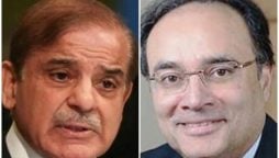 PM Shehbaz will chair ECNEC instead of Aurangzeb