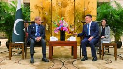 People to people contacts characterize Pak, China deep rooted ties: PM Shehbaz