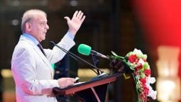 PM Shehbaz stresses multilateralism for int’l peace, development
