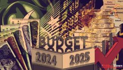 Budget 2024