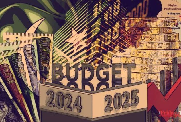 Budget 2024-25: Govt Ends Tax Exemption For Expensive Electric Vehicles