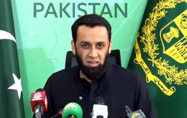 Tarar says govt decides to ban Pakistan Tehreek-e-Insaf