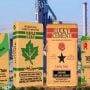 Cement prices soar in Pakistan