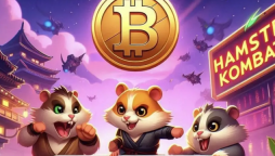 Hamster Kombat Daily Cipher Code Today