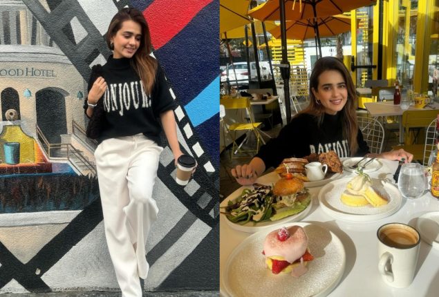 Sumbul Iqbal Visits the Hollywood Walk of Fame in California, Shares Photos