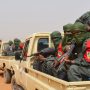 Deadly suspected militant attack in Mali leaves over 20 Civilians dead