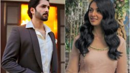 Danish Taimoor