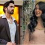 Danish Taimoor and Sarah Khan to Star in Upcoming Mega Project