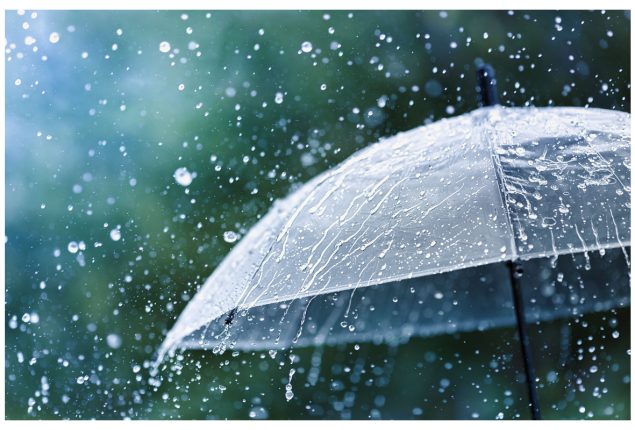 Monsoon Rains Expected in Pakistan Till Mid-July 2024