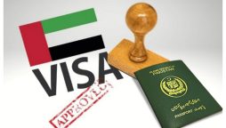 UAE Work Visa for Pakistanis: Checkout Latest Updates! 