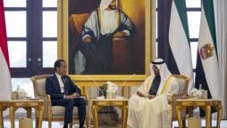 Indonesian President's UAE deal secures financial center for new capital