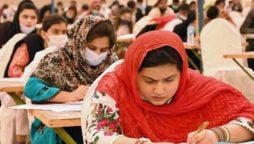 PMDC
