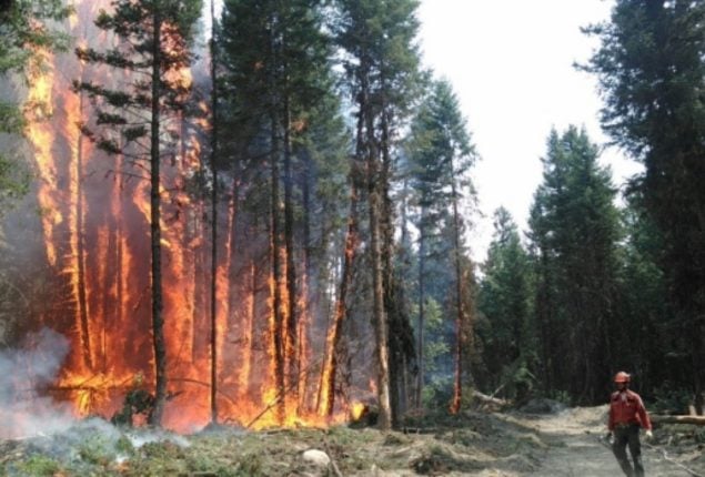 Canada: Around 5,000 people were forced to leave the western town of Jasper