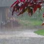 Heavy Rain with Strong Winds Likely in Karachi Today