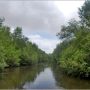 KU seminar highlights importance of presence of mangroves