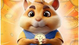 Hamster Kombat Daily Cipher Code Today
