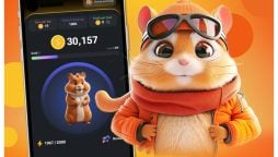 Hamster Kombat Daily Cipher Code today
