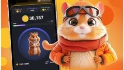 Hamster Kombat Daily Combos Today