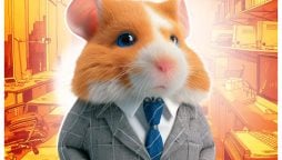 Hamster Kombat Daily Combos Today