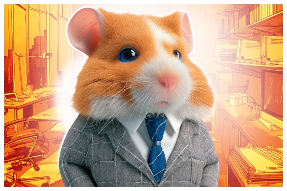 Hamster Kombat Daily Combos Today