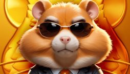 Hamster Kombat Daily Cipher Code Today